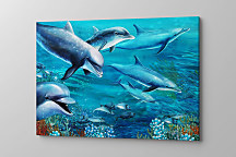 Obraz Plávajúce delfíny zs1225